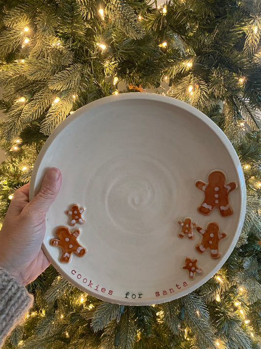 Cookies for Santa Plate!