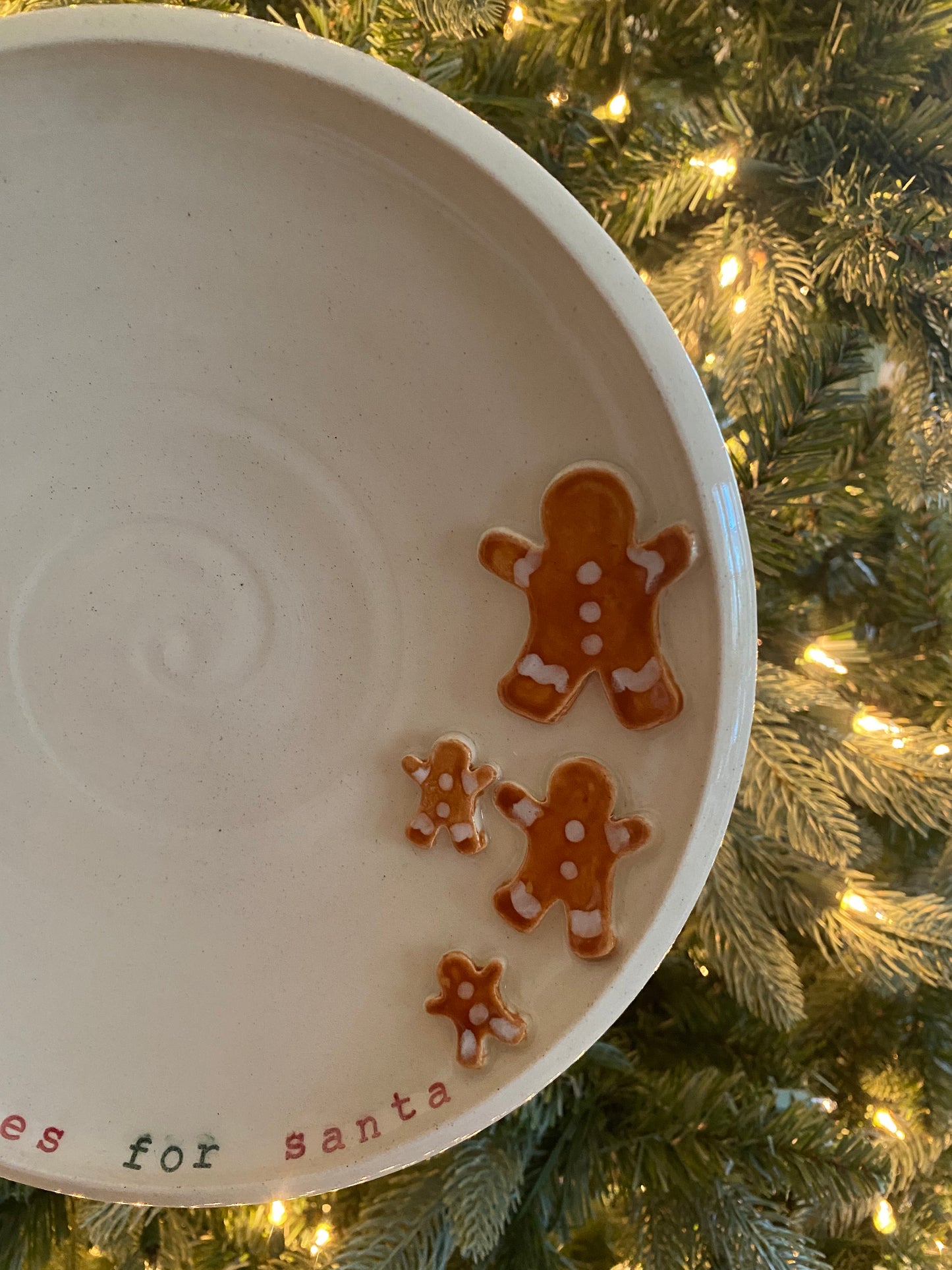 Cookies for Santa Plate!